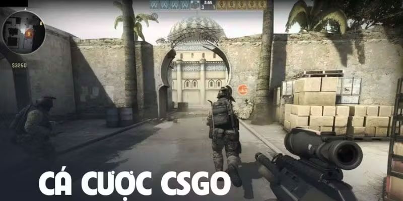 ca-cuoc-csgo-so-luoc-phat-trien Sự phát triển của thể loại cá độ CSGO